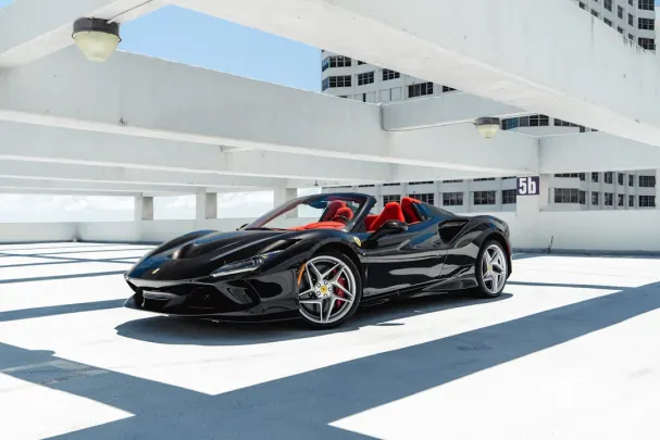 Kong Casino Android/iOS Forrit